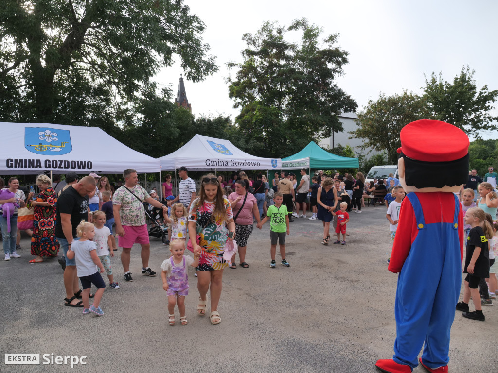 Wakacyjny Rodzinny Piknik w Gozdowie