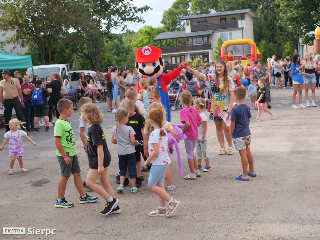 Wakacyjny Rodzinny Piknik w Gozdowie