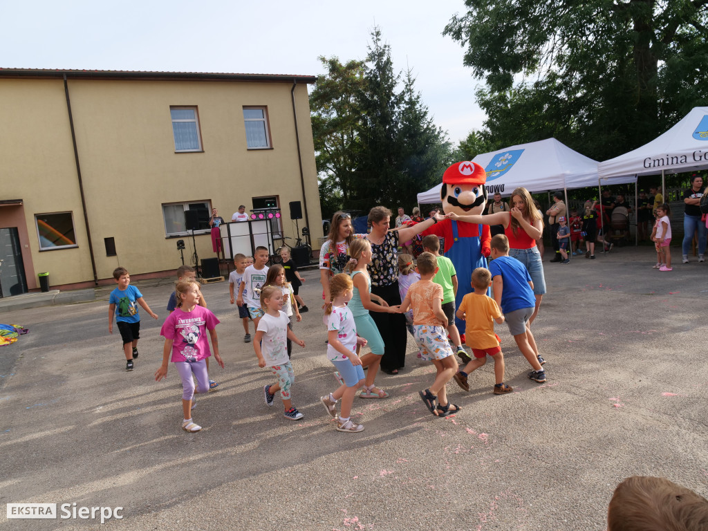 Wakacyjny Rodzinny Piknik w Gozdowie