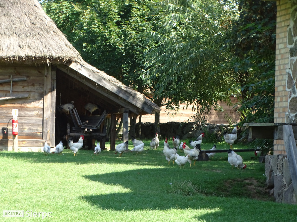 Mazowiecki Dzień Osób z Niepełnosprawnością