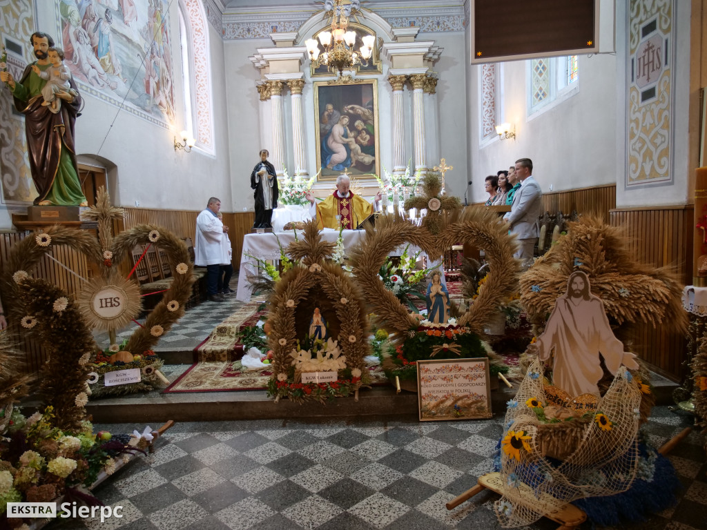 Dożynki gminne w Rościszewie