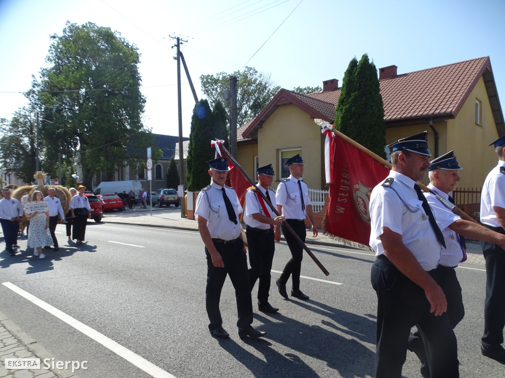 Dożynki gminne w Rościszewie