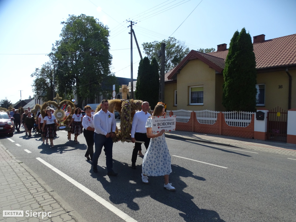 Dożynki gminne w Rościszewie