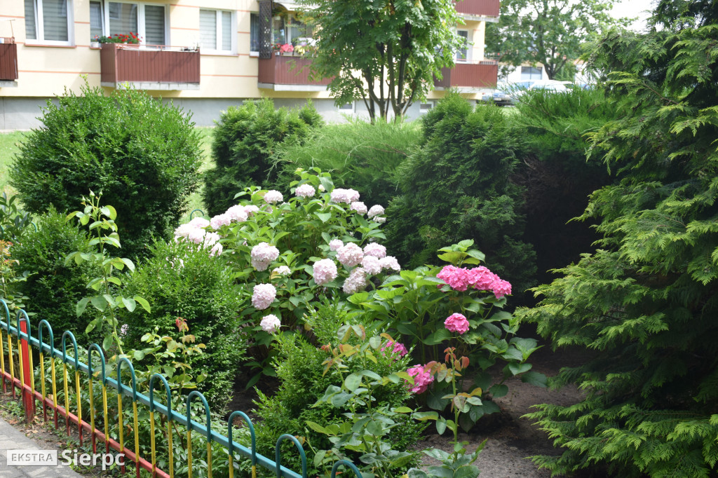 Najpiękniesze ogródki i balkony