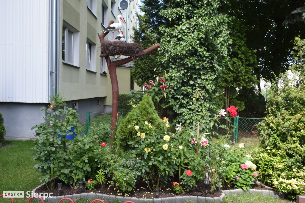 Najpiękniesze ogródki i balkony