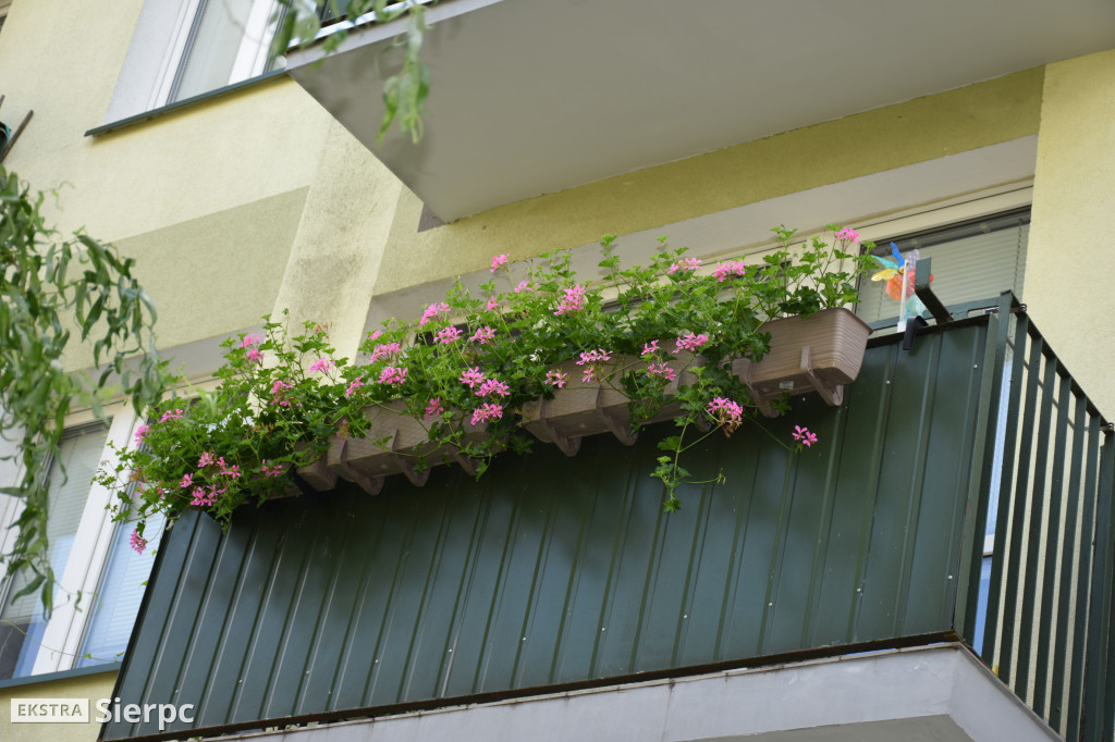 Najpiękniesze ogródki i balkony