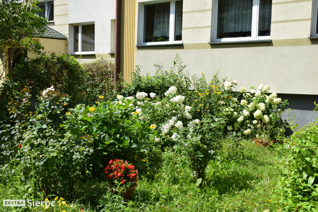 Najpiękniesze ogródki i balkony