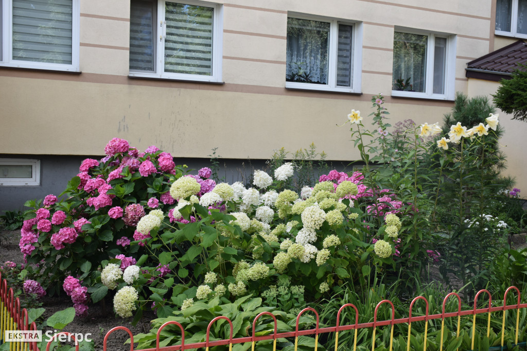 Najpiękniesze ogródki i balkony