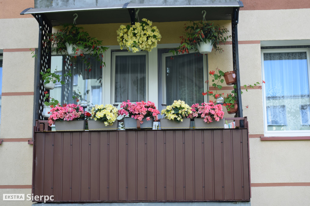 Najpiękniesze ogródki i balkony