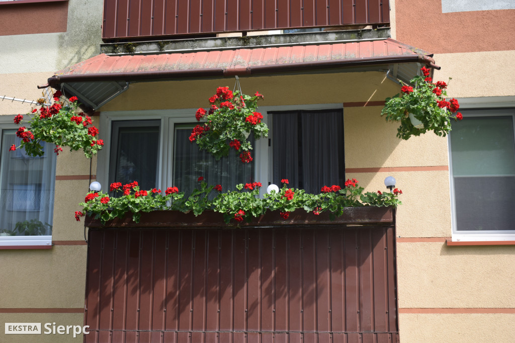 Najpiękniesze ogródki i balkony