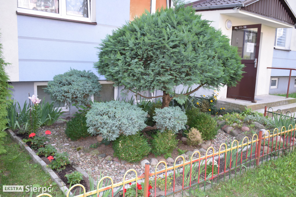 Najpiękniesze ogródki i balkony