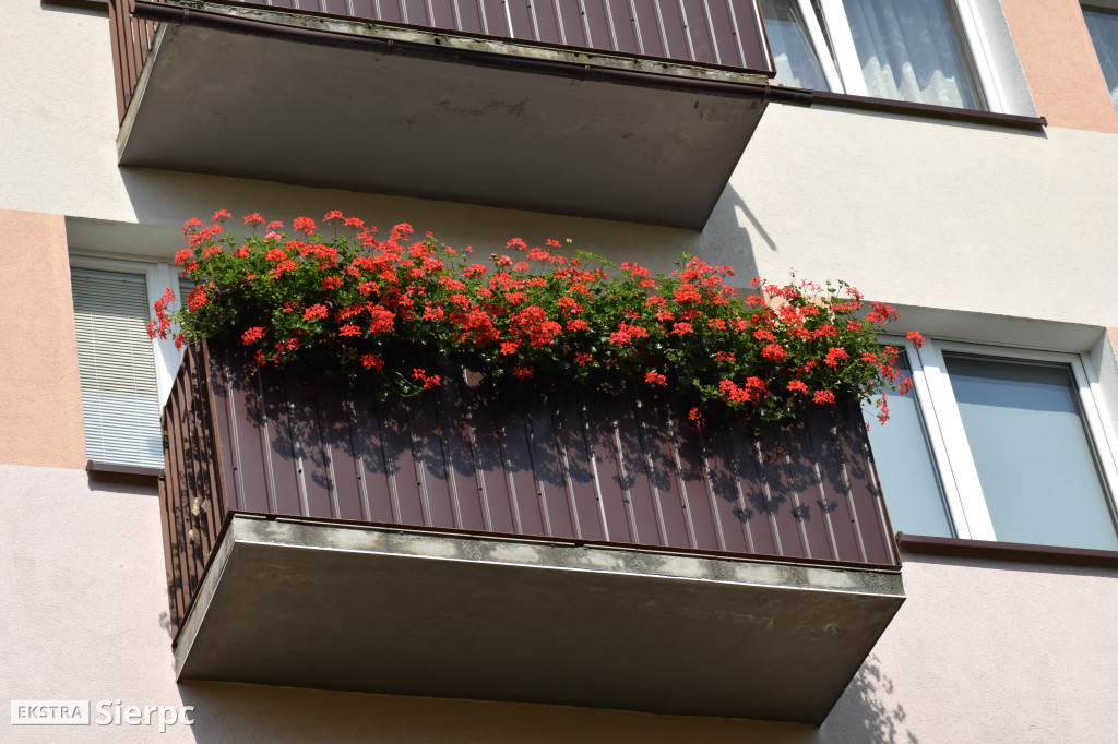 Najpiękniesze ogródki i balkony