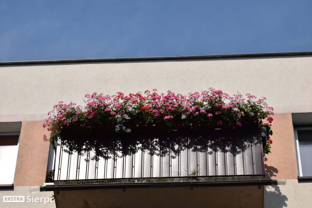 Najpiękniesze ogródki i balkony