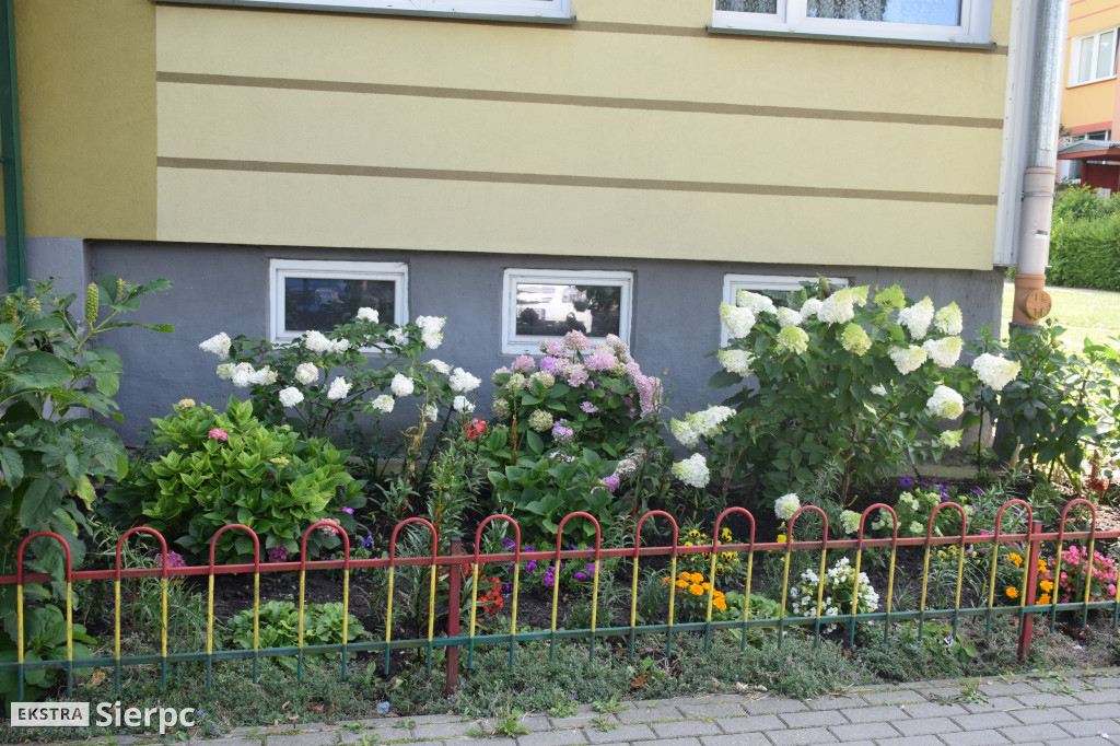 Najpiękniesze ogródki i balkony