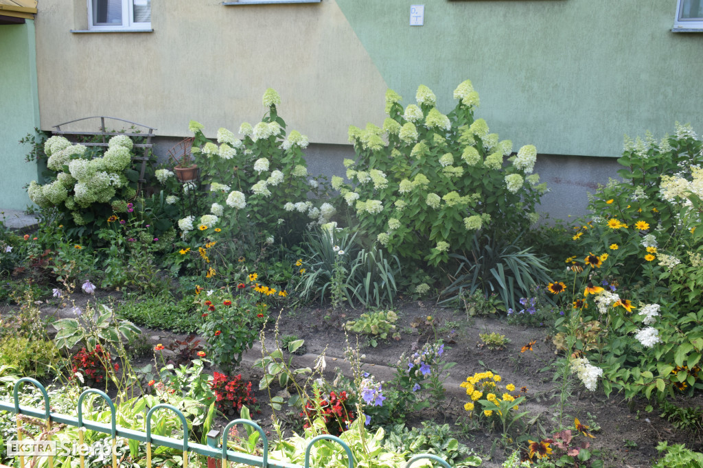 Najpiękniesze ogródki i balkony