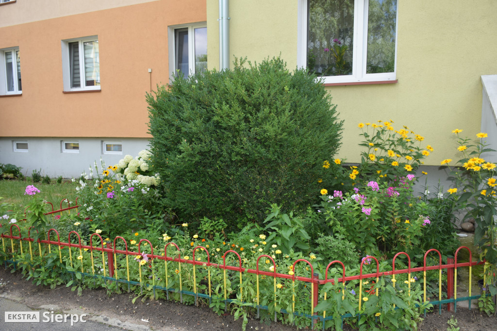 Najpiękniesze ogródki i balkony