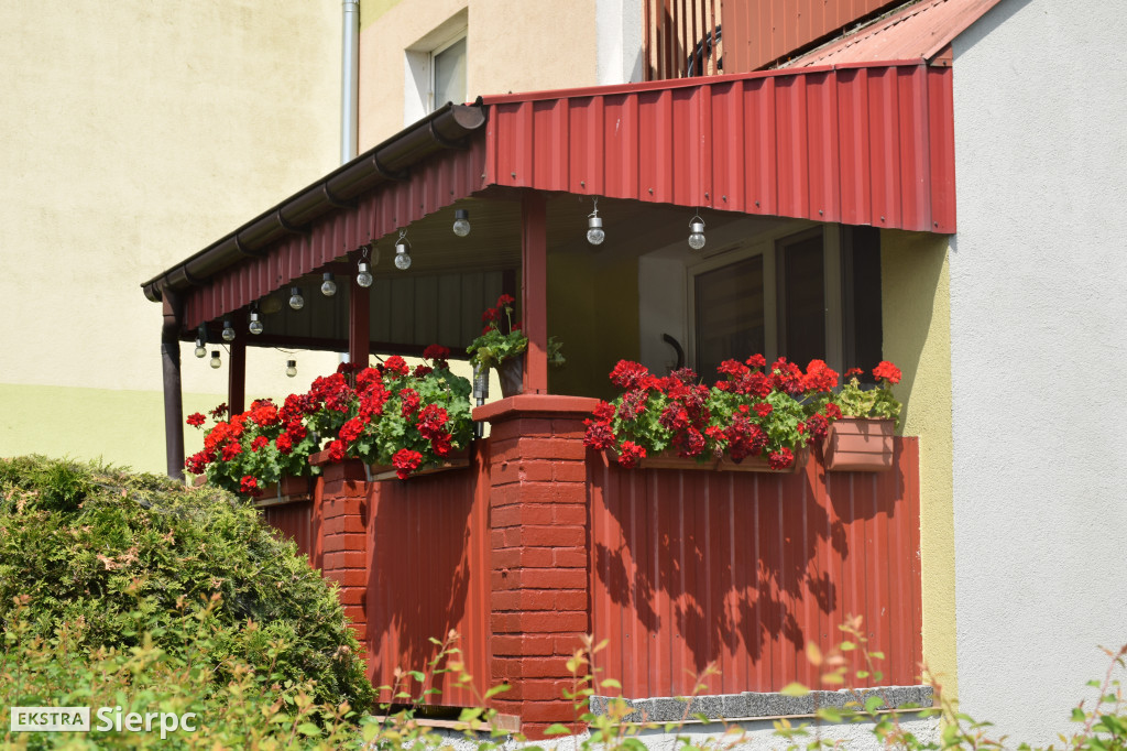 Najpiękniesze ogródki i balkony