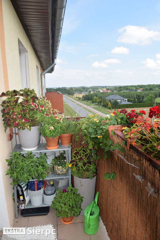 Najpiękniesze ogródki i balkony