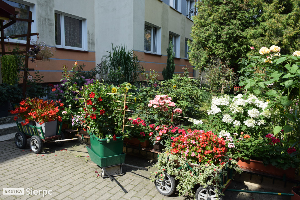 Najpiękniesze ogródki i balkony