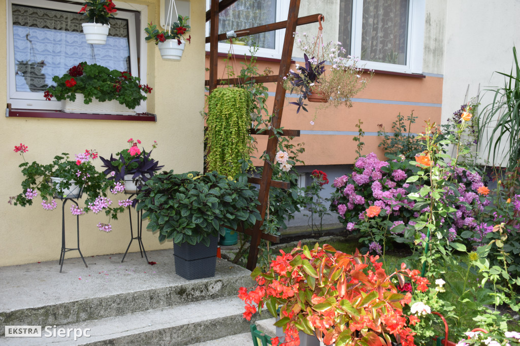 Najpiękniesze ogródki i balkony