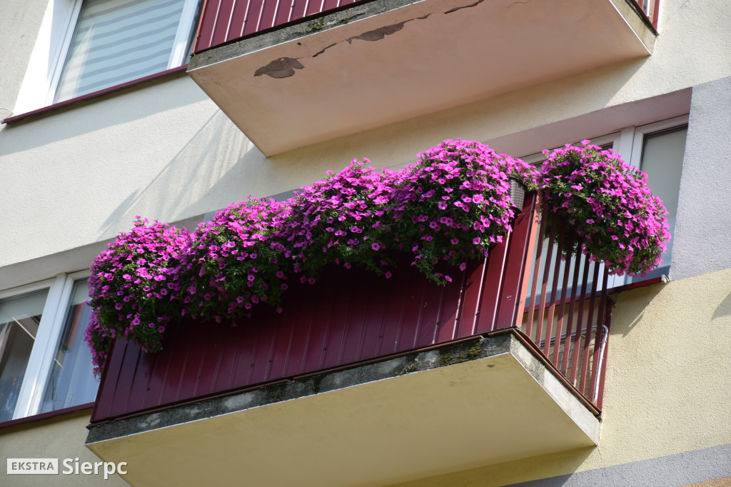 Najpiękniesze ogródki i balkony