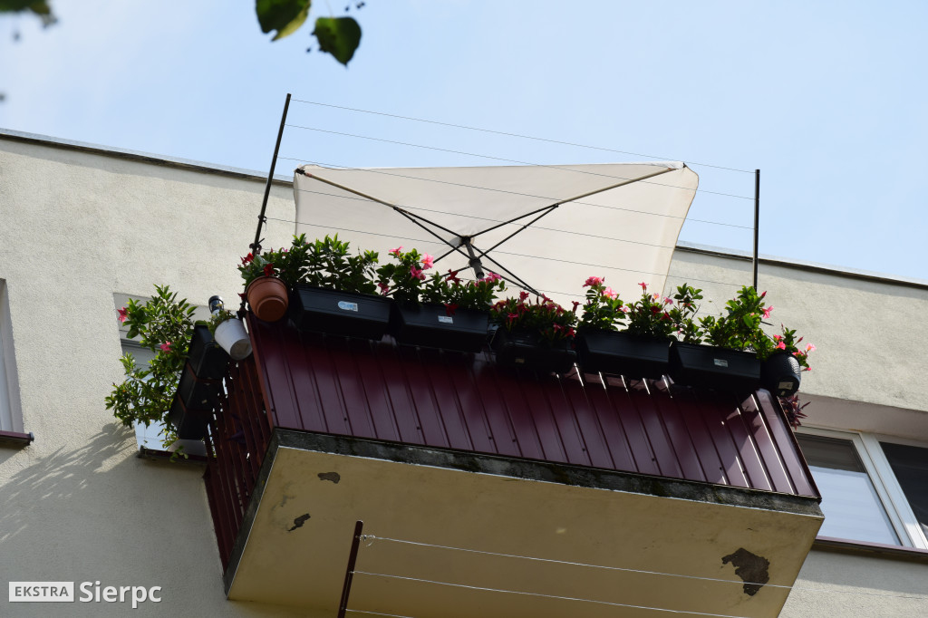 Najpiękniesze ogródki i balkony