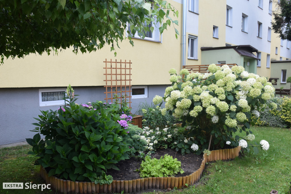 Najpiękniesze ogródki i balkony