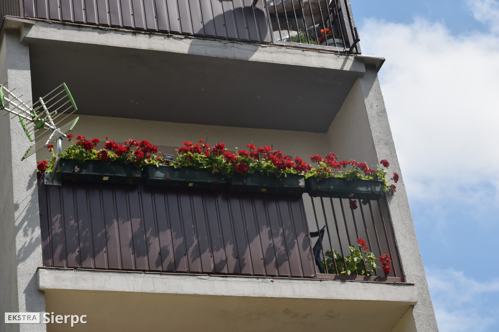 Najpiękniesze ogródki i balkony