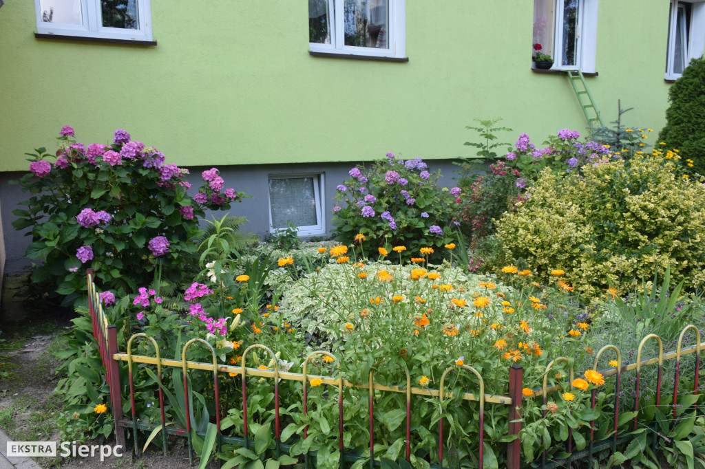 Najpiękniesze ogródki i balkony