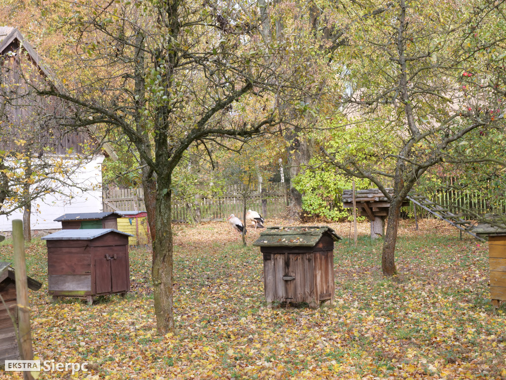 Skansen jesienią