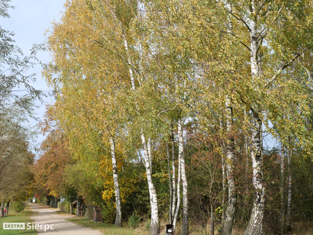 Skansen jesienią