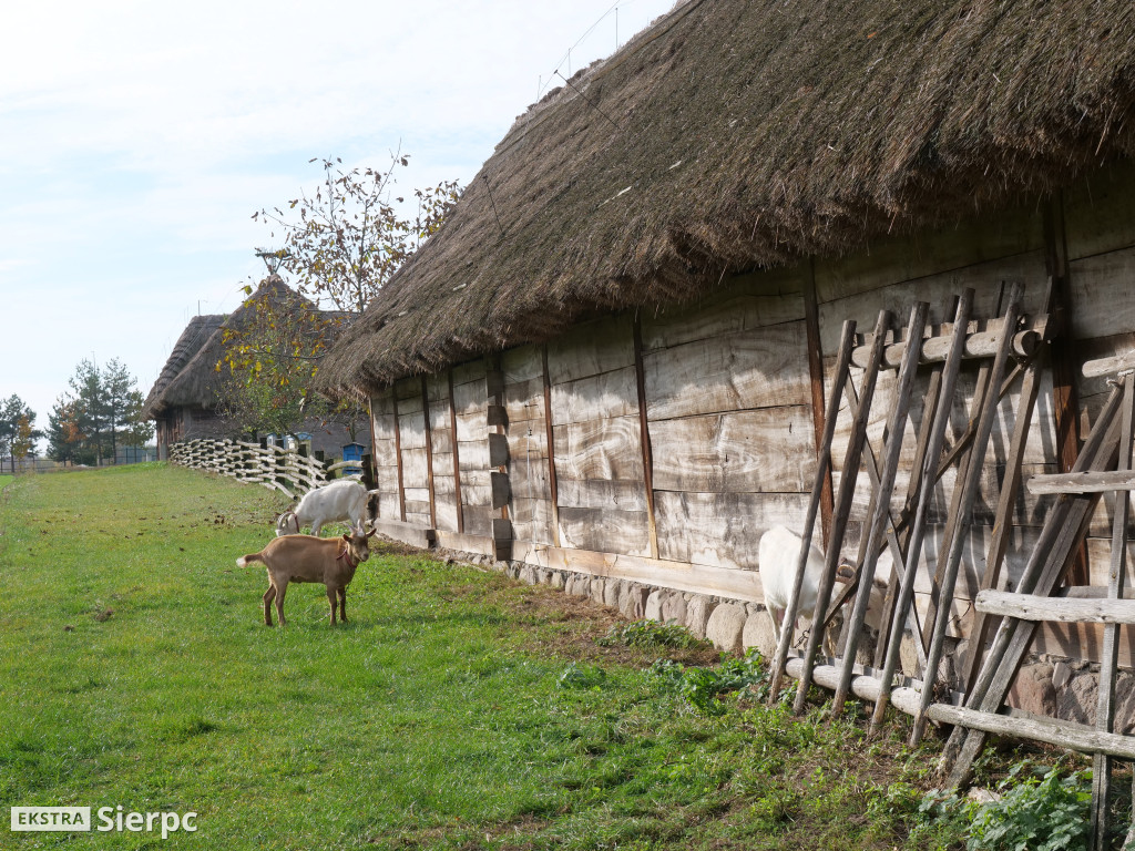 Skansen jesienią