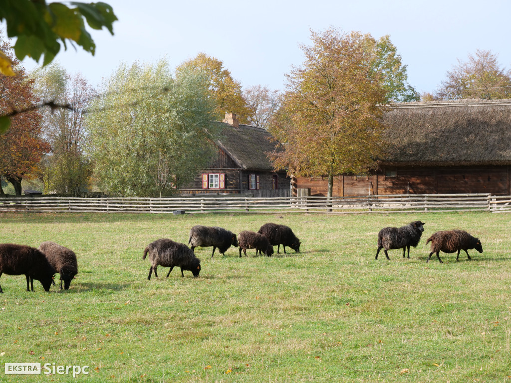 Skansen jesienią