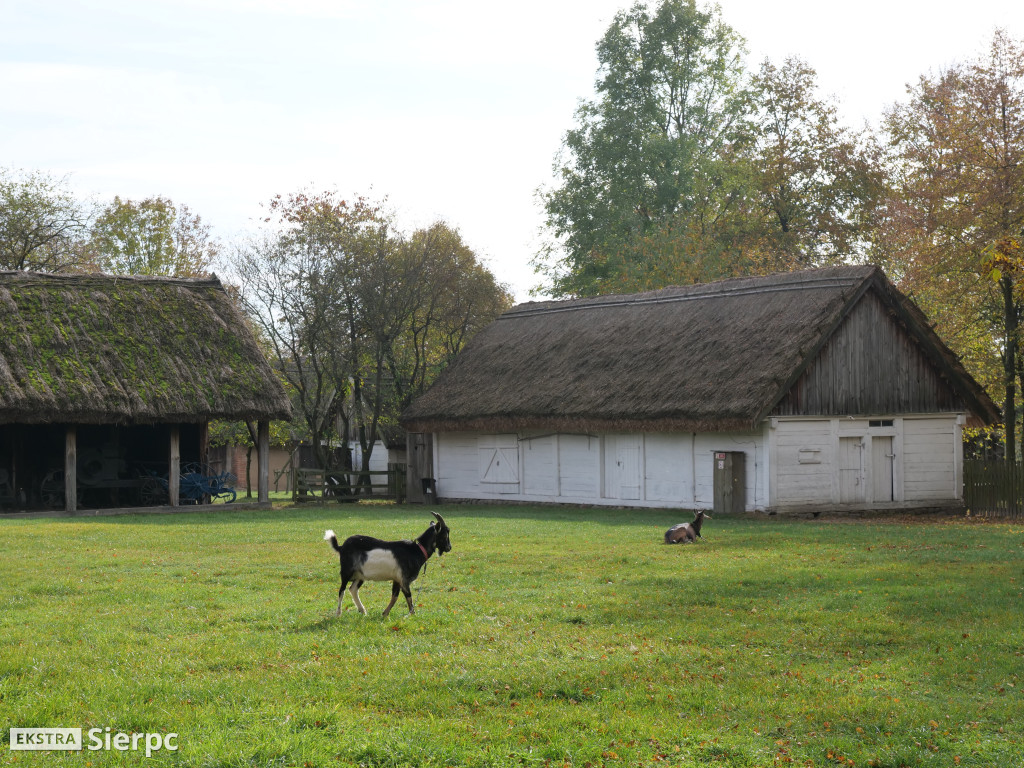 Skansen jesienią