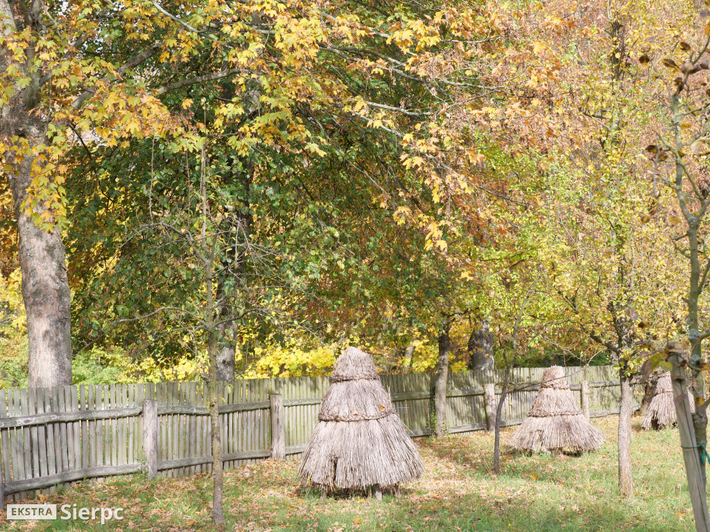 Skansen jesienią