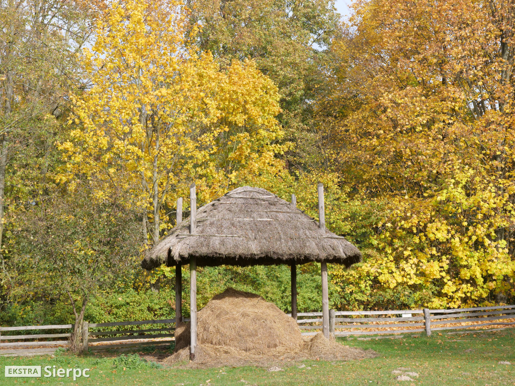 Skansen jesienią