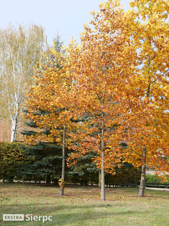 Skansen jesienią