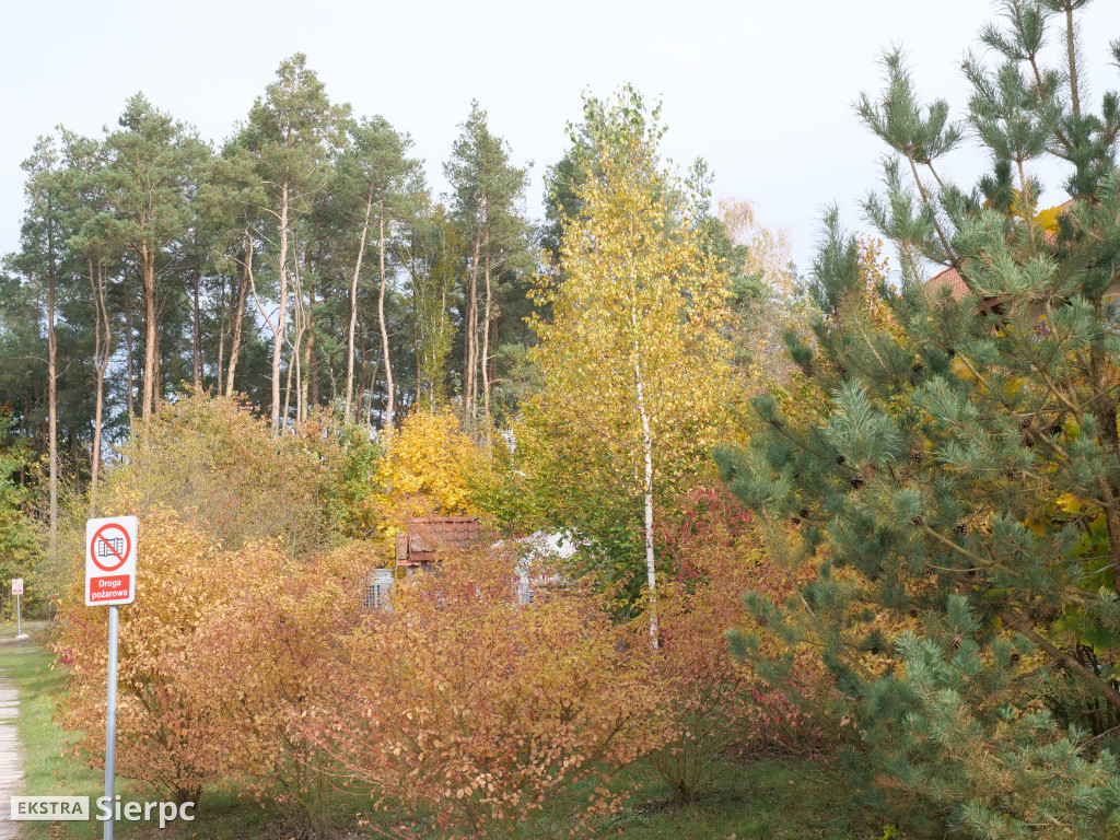 Skansen jesienią