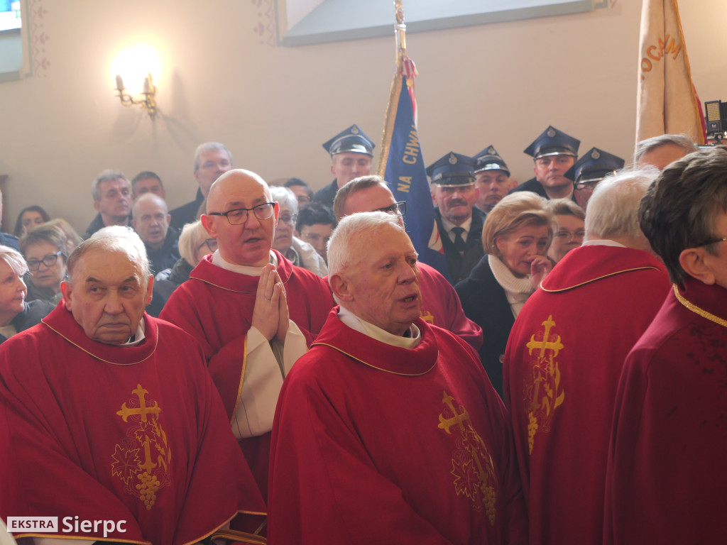 Erygowanie Sanktuarium św. Apolonii w Borkowie