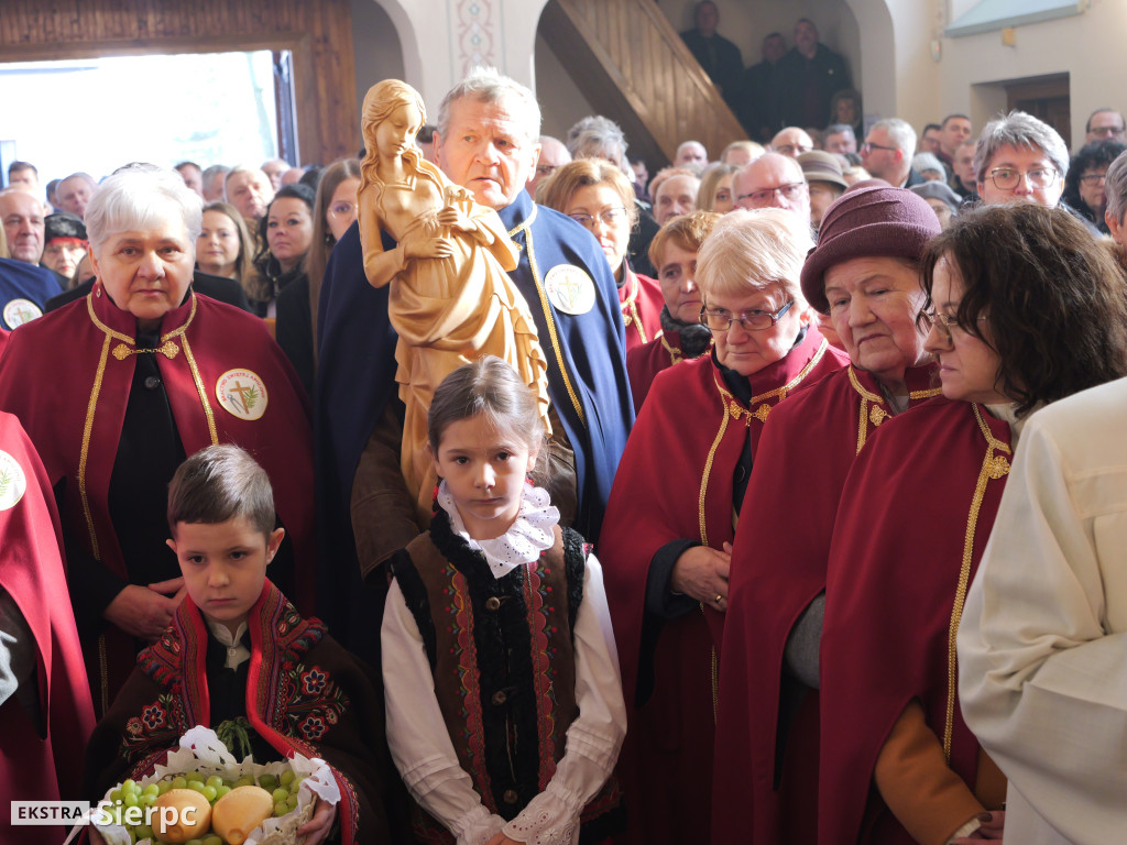 Erygowanie Sanktuarium św. Apolonii w Borkowie