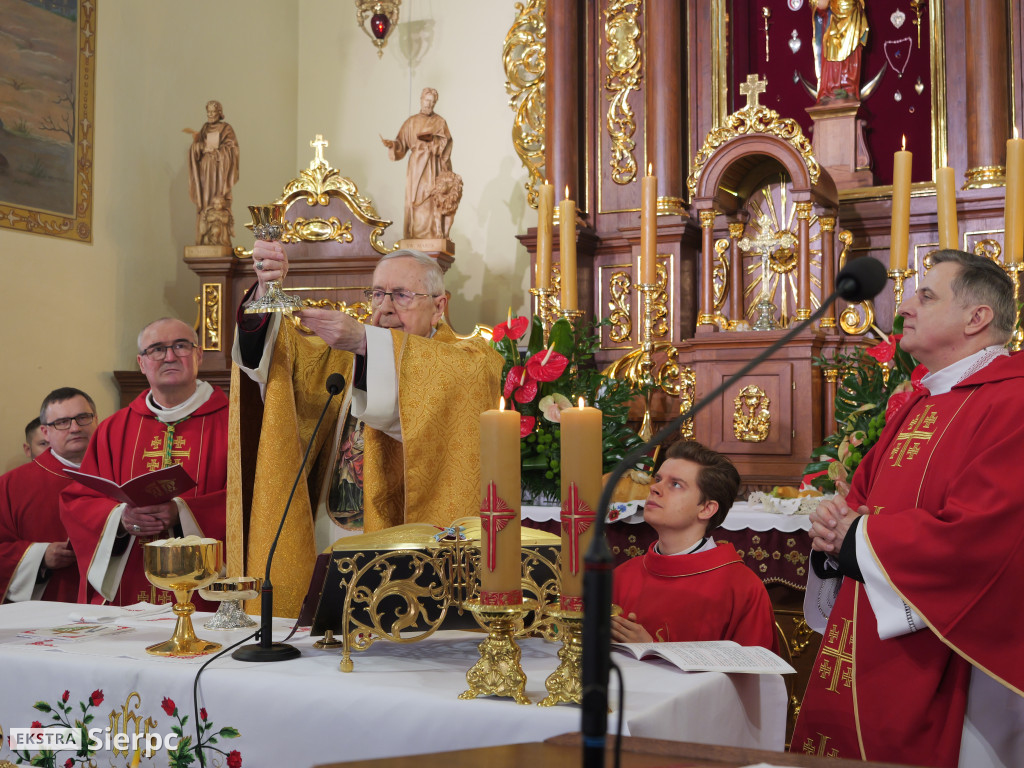 Erygowanie Sanktuarium św. Apolonii w Borkowie