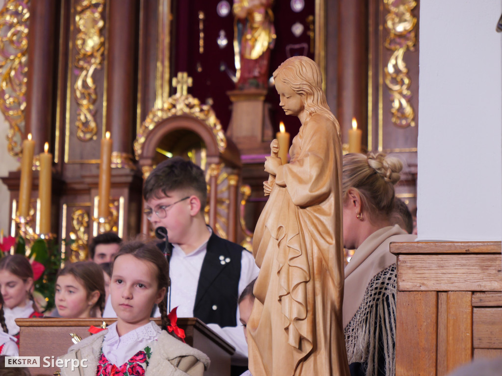 Erygowanie Sanktuarium św. Apolonii w Borkowie