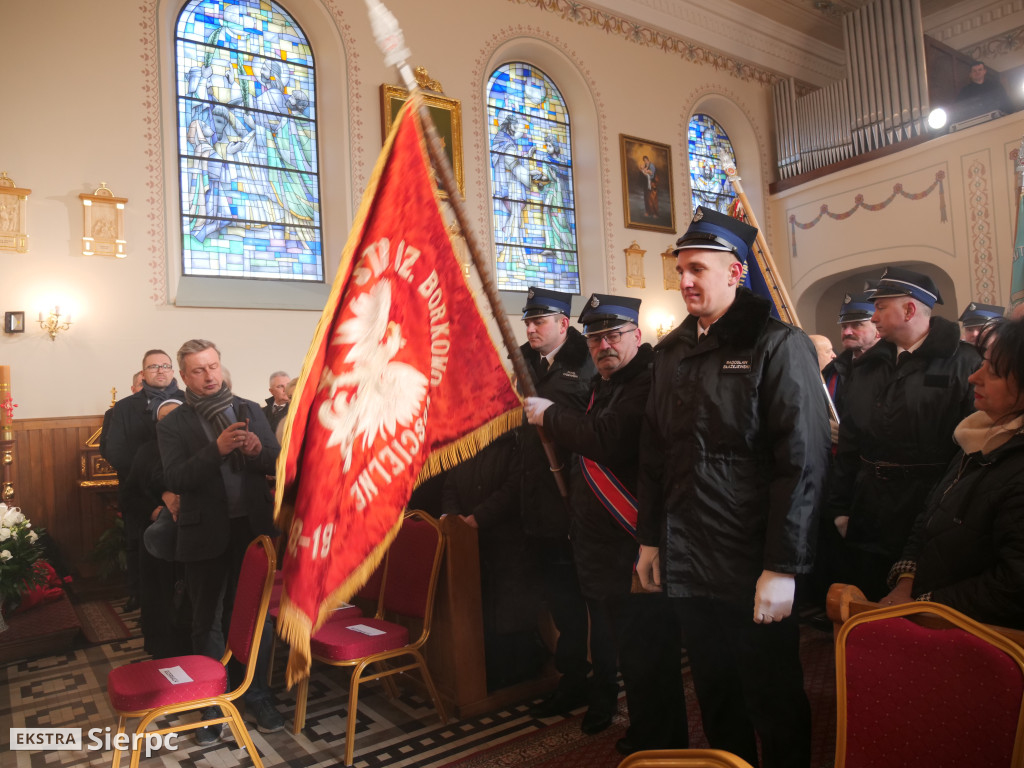 Erygowanie Sanktuarium św. Apolonii w Borkowie