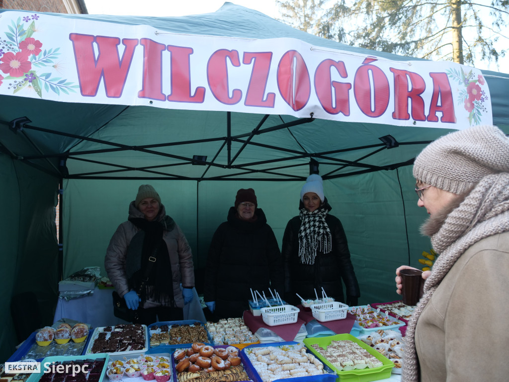 Erygowanie Sanktuarium św. Apolonii w Borkowie