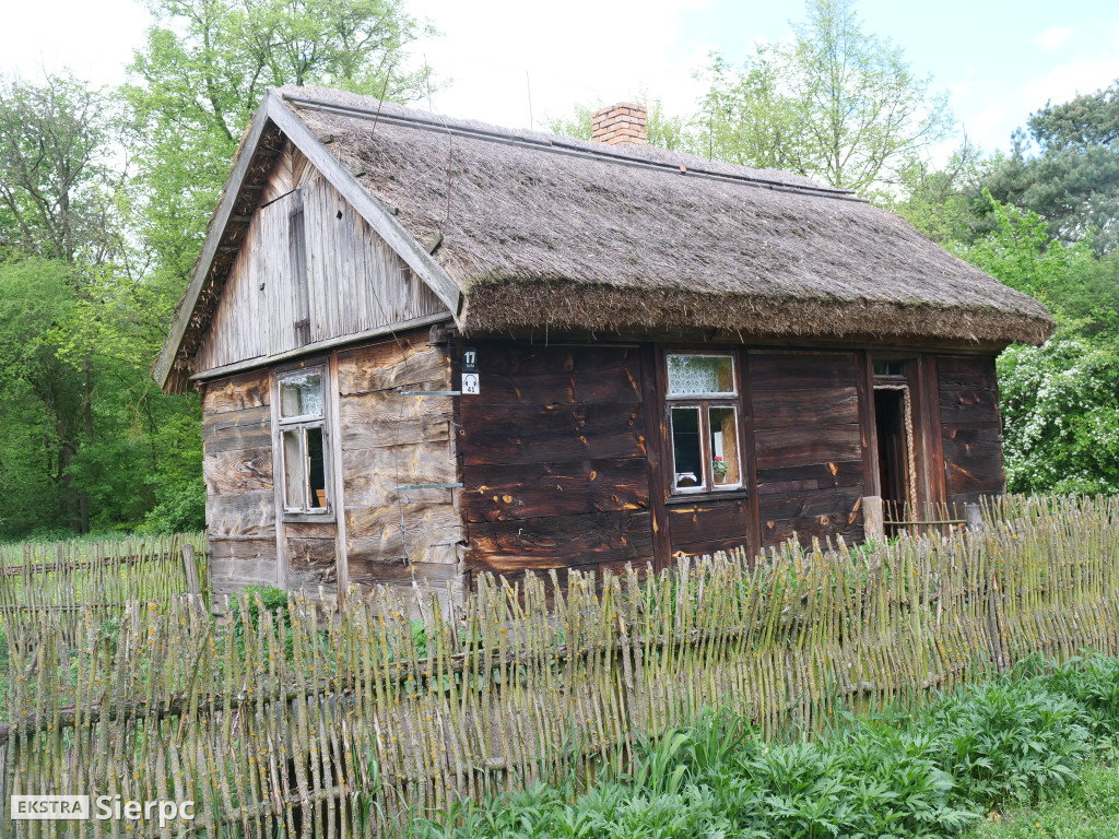 Gotowanie na polanie