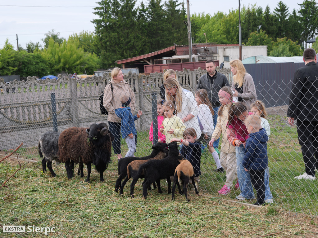 5. urodziny Happy Academy