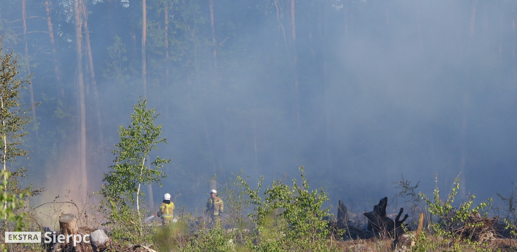 Pożar lasu w Grabalu