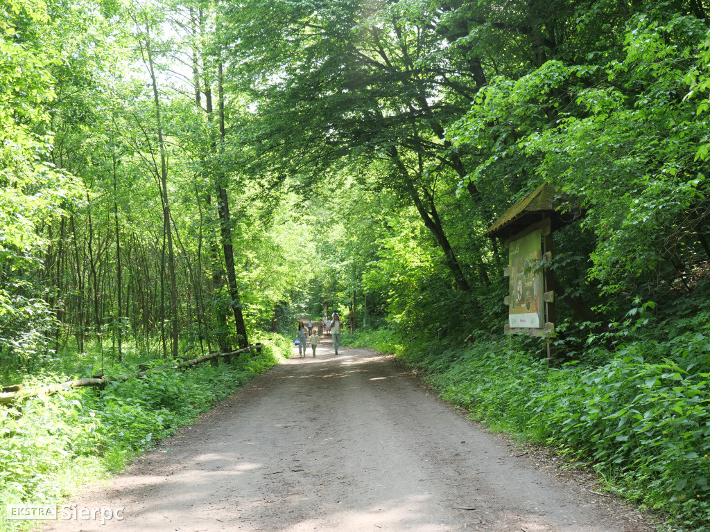 Dzień Dziecka w skansenie