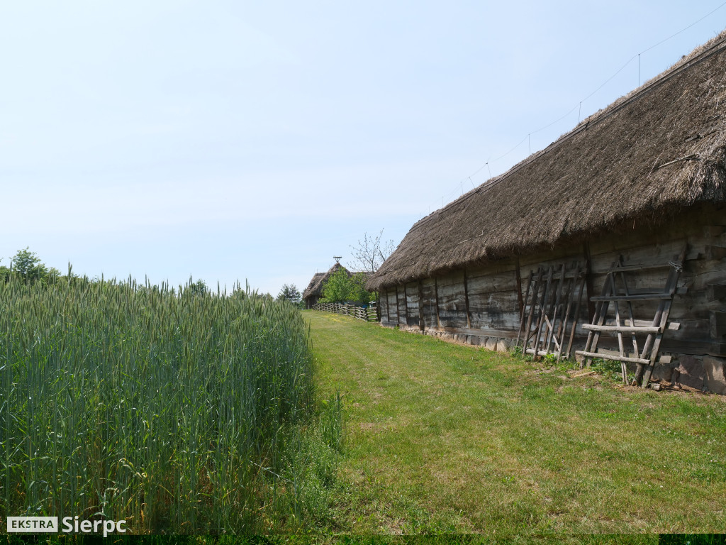 Dzień Dziecka w skansenie