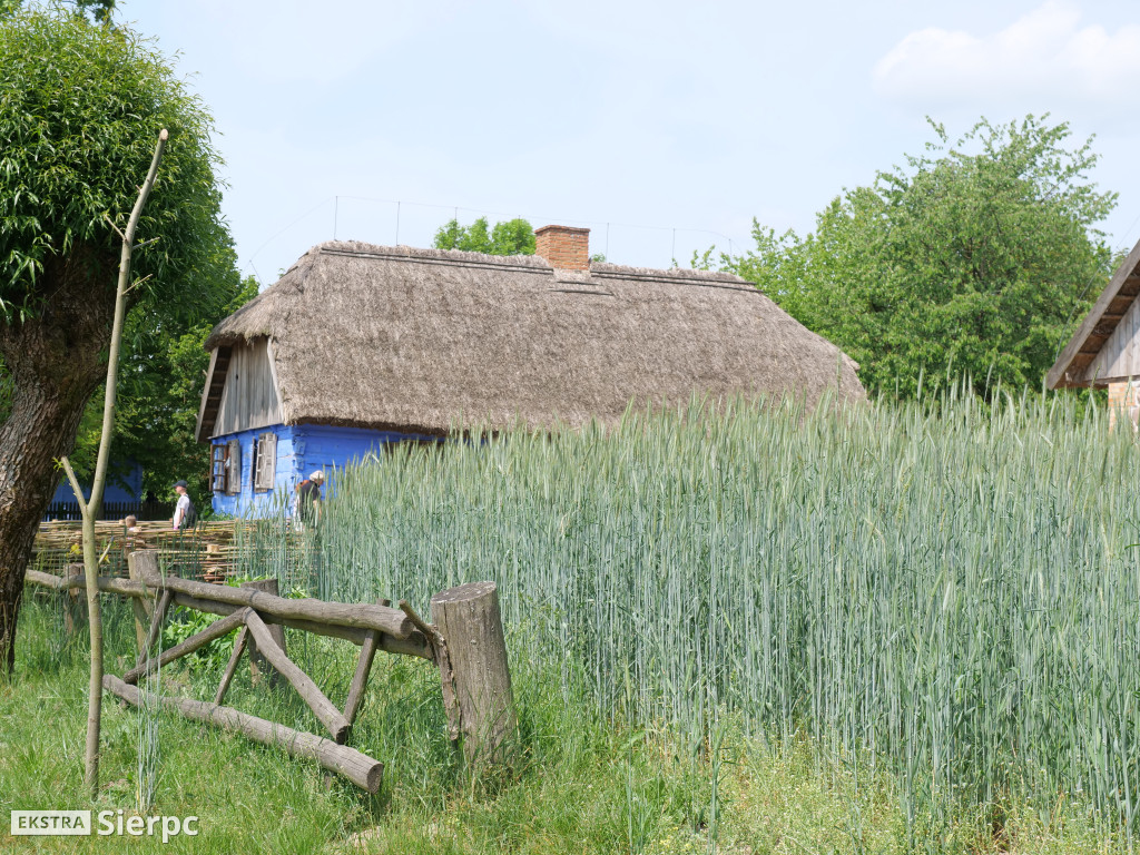 Dzień Dziecka w skansenie